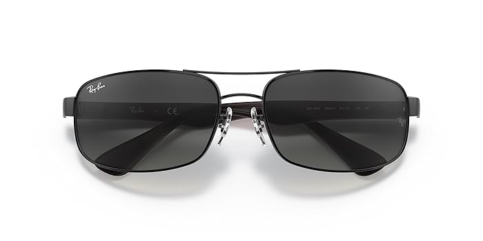Ray-Ban RB2447 ブラックサングラス ケース付き レイバン公式ストア】 Ray-Ban® ROUND FLECK サングラス